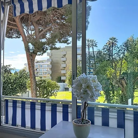 Sea Dream * Cannes
