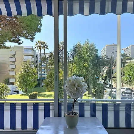 Sea Dream * Cannes